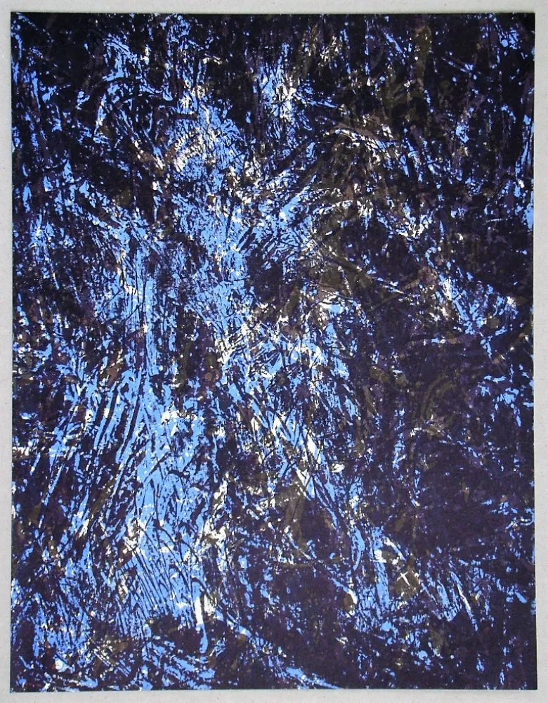 Lithograph Fiedler - Lithograph pour XXe Siècle