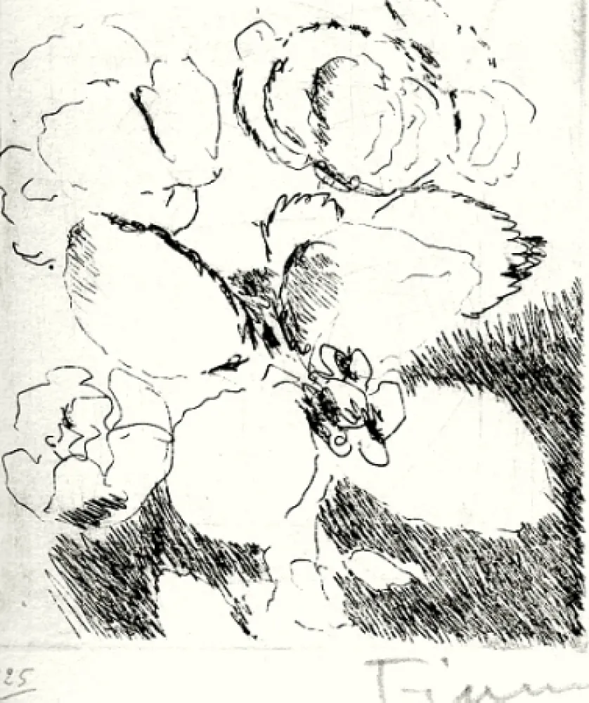 Illustrated Book Fiume - Dietro le carte