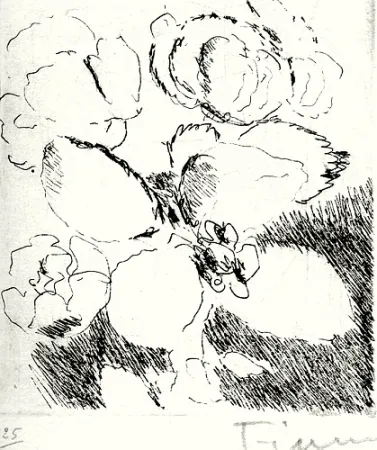 Illustrated Book Fiume - Dietro le carte