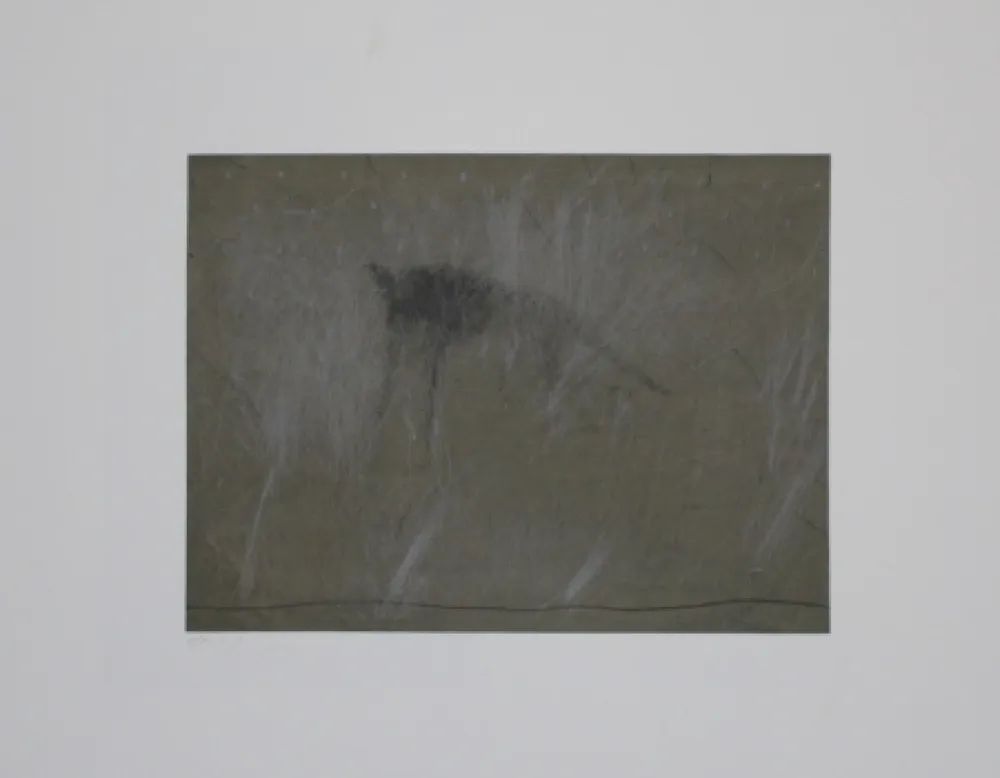 Etching Fleischmann - Beast