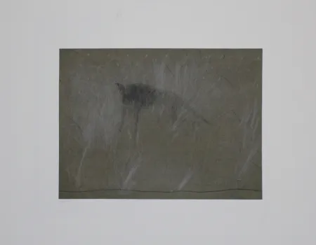 Etching Fleischmann - Beast