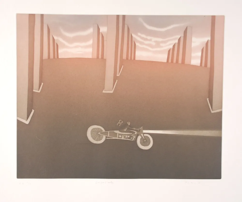 Etching And Aquatint Folon - Crépuscule