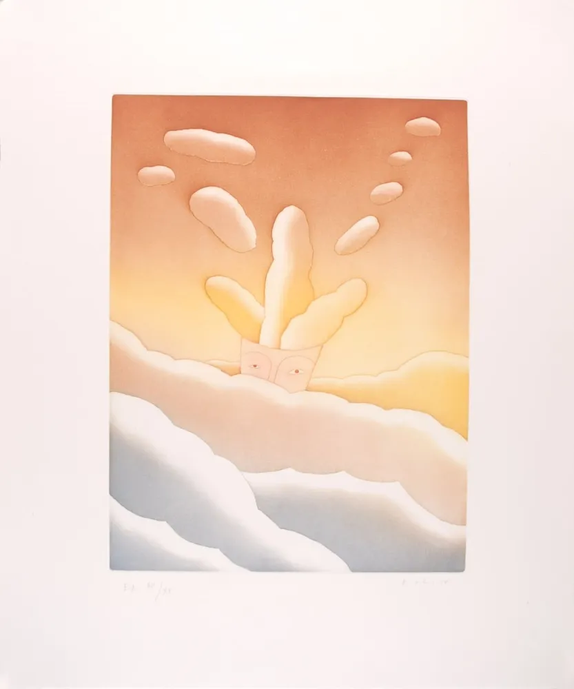 Etching And Aquatint Folon - Le poids des pensées