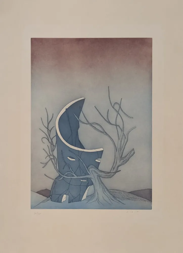 Etching And Aquatint Folon - Les Ruines circulaires V 