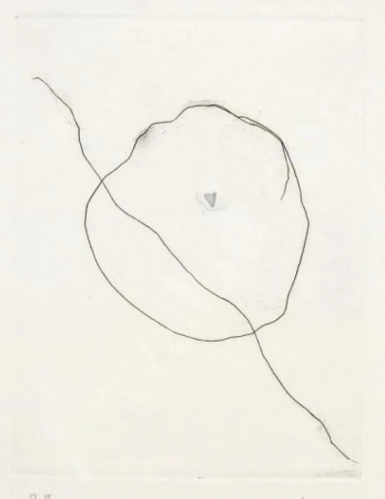 Engraving Fontana - L'Épée dans l'eau