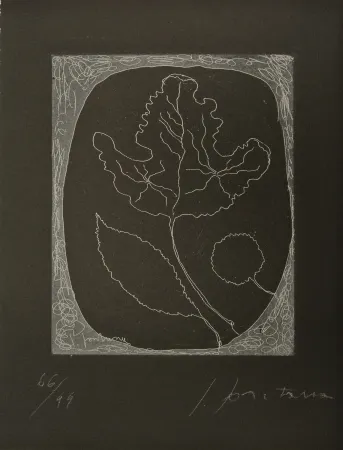 Etching And Aquatint Fontana - Untitled