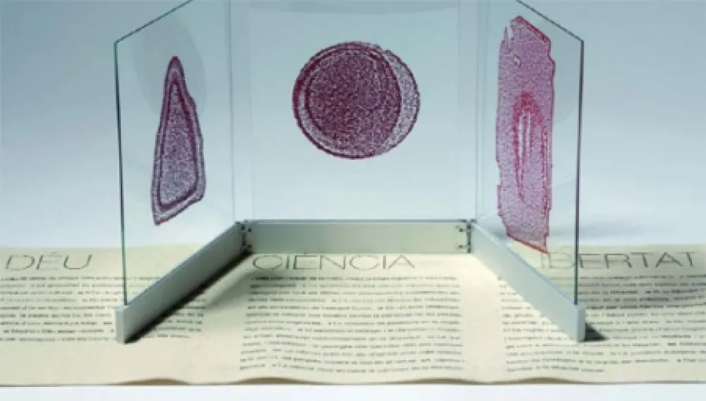 Illustrated Book Fontcuberta - Deu, ciència i llibertat