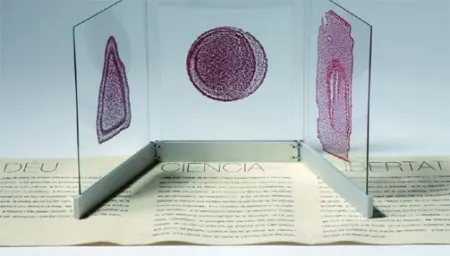 Illustrated Book Fontcuberta - Deu, ciència i llibertat