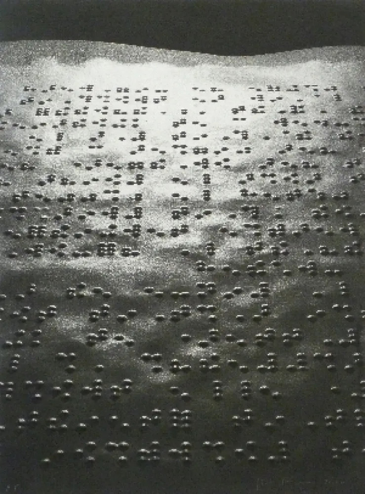 Photography Fontcuberta - Paisatge braille
