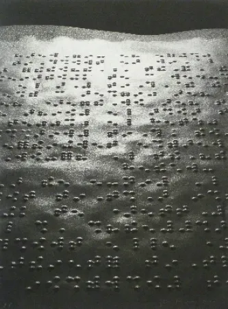Photography Fontcuberta - Paisatge braille