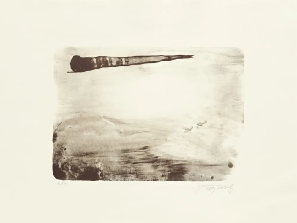 Lithograph Fontela - Palm