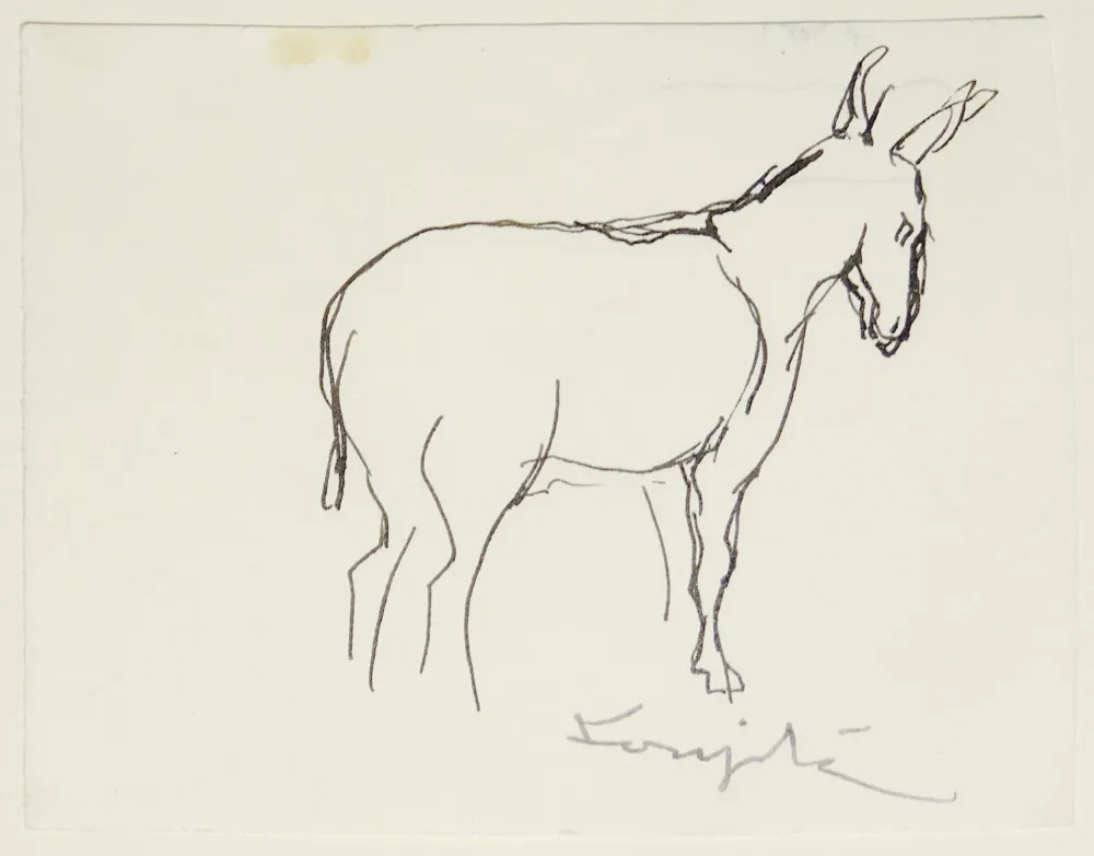 No Technical Foujita - L'âne