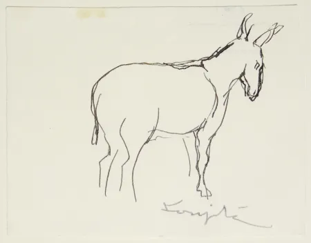 No Technical Foujita - L'âne