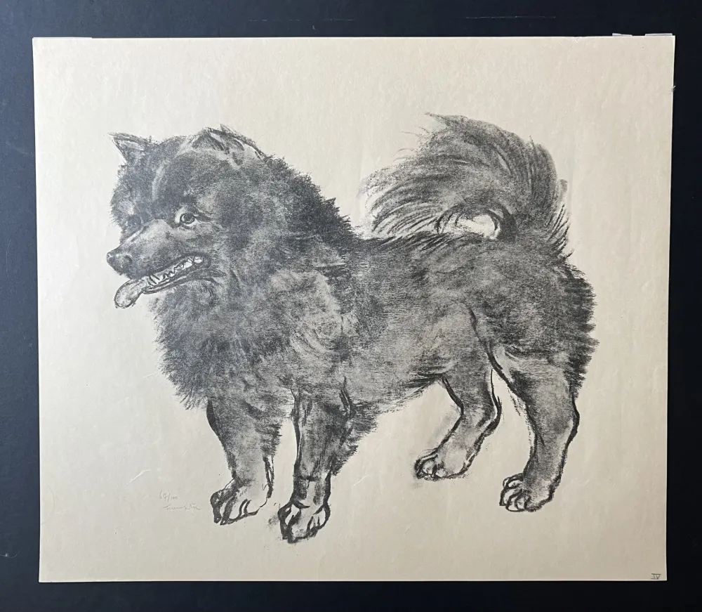 Lithograph Foujita -  Le Chien