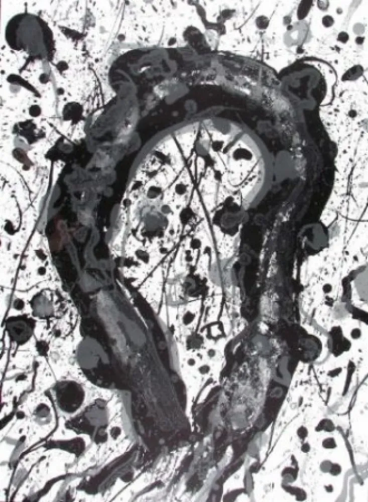 Lithograph Francis - From poème dans le ciel