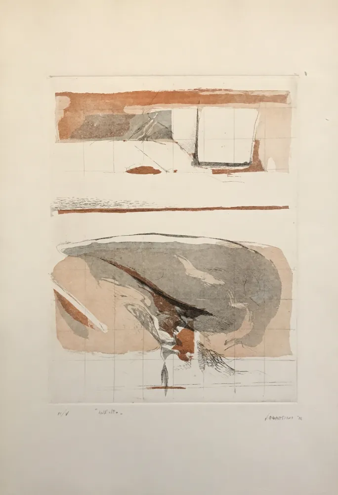 Etching And Aquatint Frattini - Dall'alto