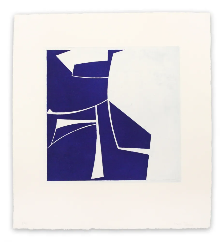Aquatint Freeman - Covers 2 Ultramarine