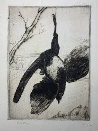 Engraving Frélaut - La pie morte