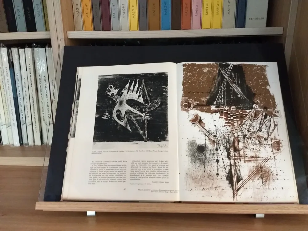 Illustrated Book Friedlaender - No 40