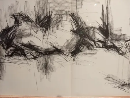 Illustrated Book Fromanger - DLM 150