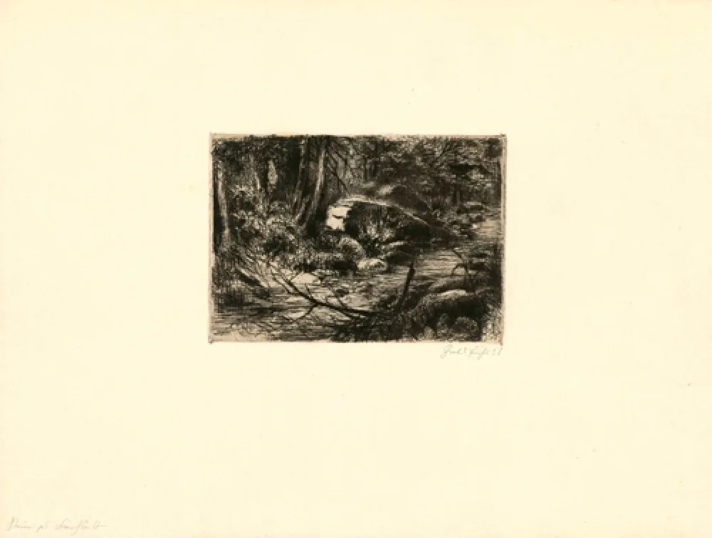 Etching Fuchs - Im Wald