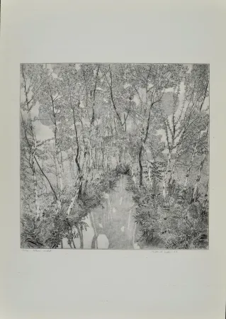 Engraving Galli - Alberi malati