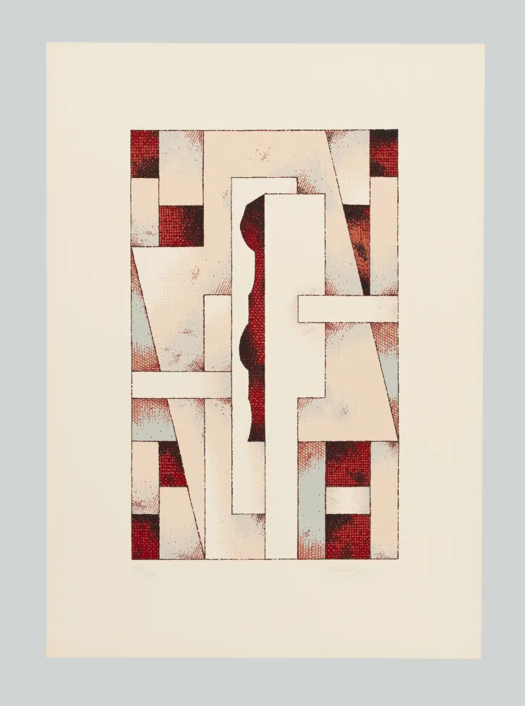 Screenprint Galli - Composizione (Tav. D)