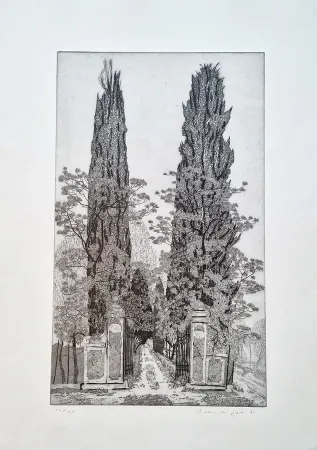 Engraving Galli - Villa mistero