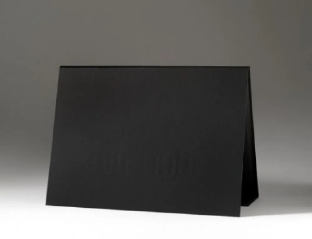 Lithograph Gamarra - Portfolio RESELECCION NATURAL