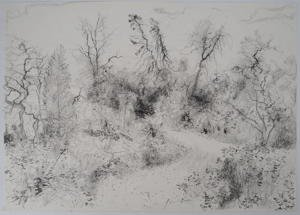 No Technical Gantner - Jardin au printemps, 