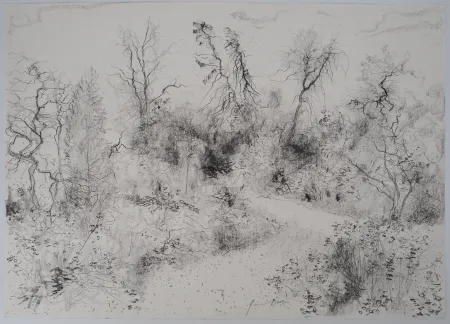 No Technical Gantner - Jardin au printemps, 