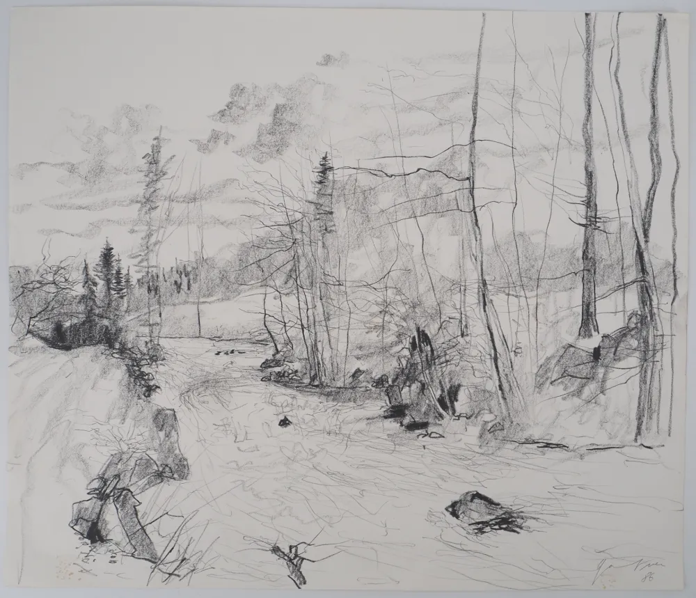 No Technical Gantner - Torrent dans les Vosges