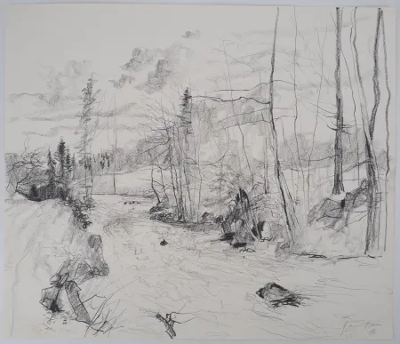 No Technical Gantner - Torrent dans les Vosges