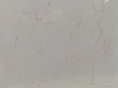 Lithograph Garache - 2 personates v