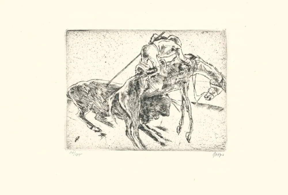 Engraving Geiger - Picador