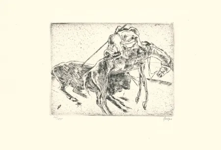 Engraving Geiger - Picador