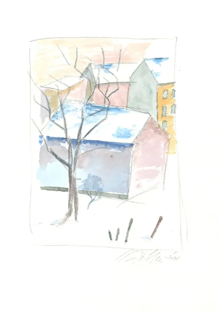 No Technical Geyer - Winterlandschaft