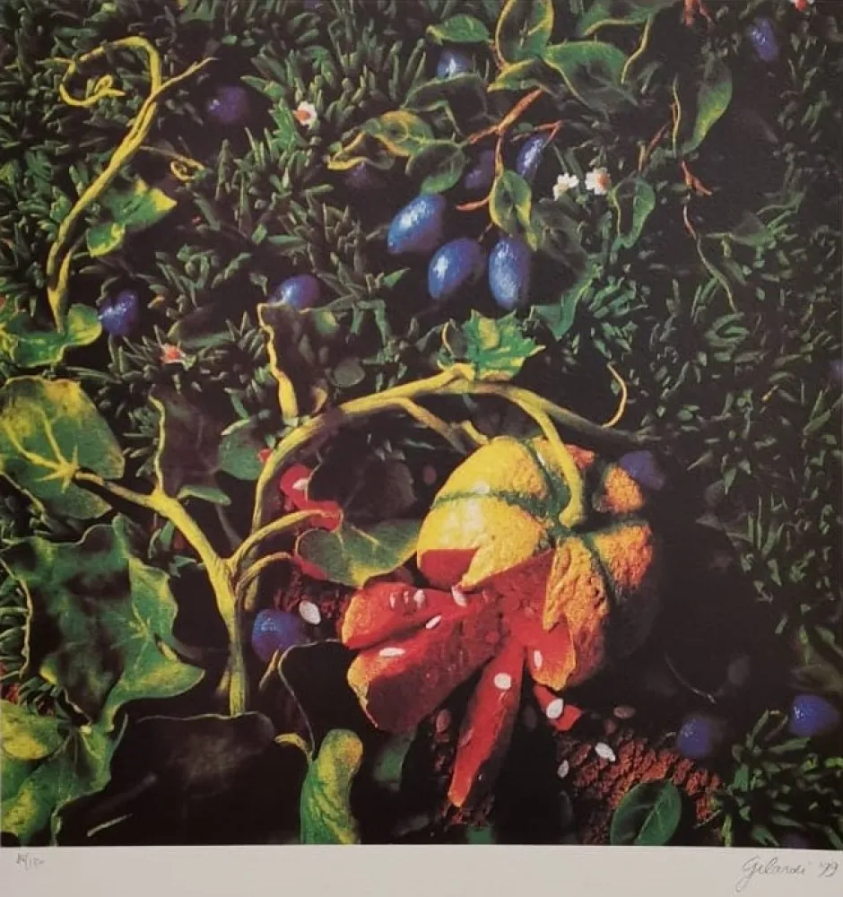 Screenprint Gilardi - Prugne con zucca