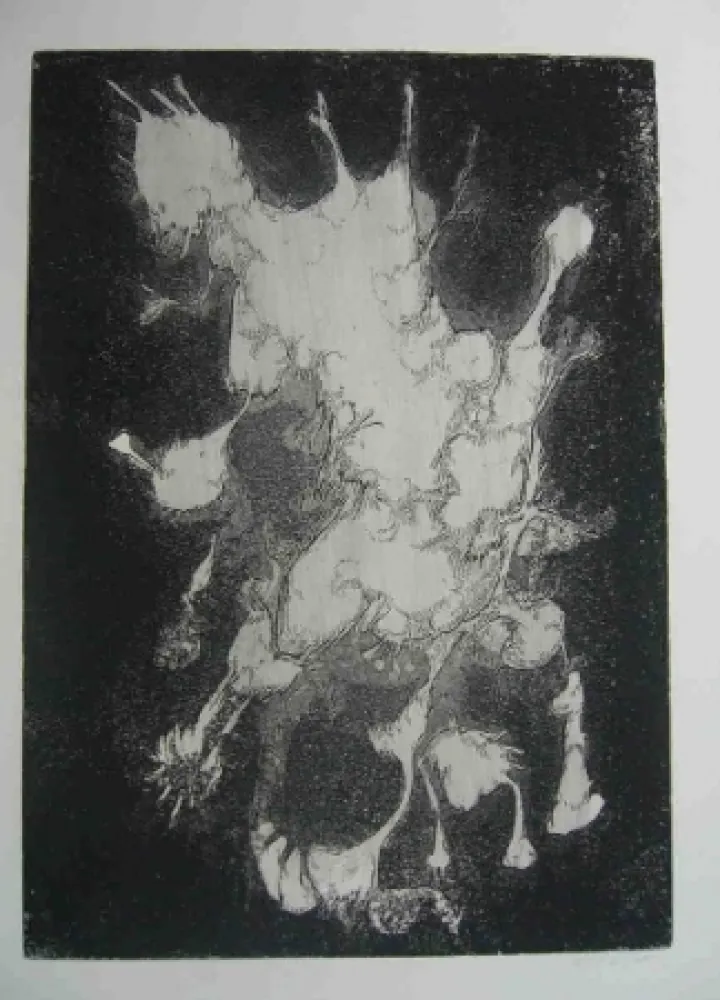 Engraving Gillet - Nymphe des rats