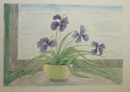 Lithograph Girona - BOL I ILLIRS