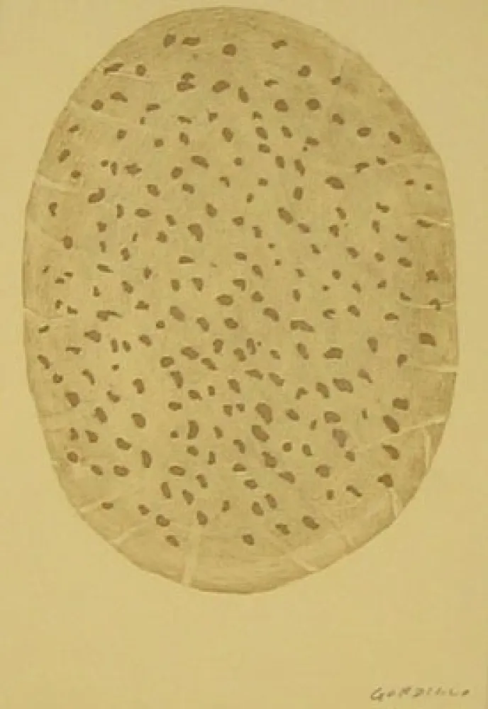 Engraving Gordillo - S/T