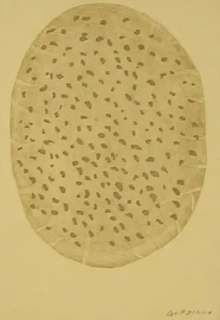 Engraving Gordillo - S/T