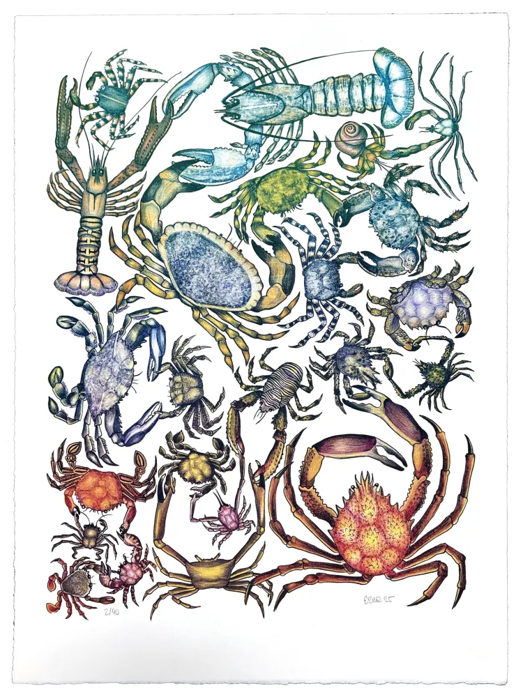 Lithograph Gosset - Prise de Pince 