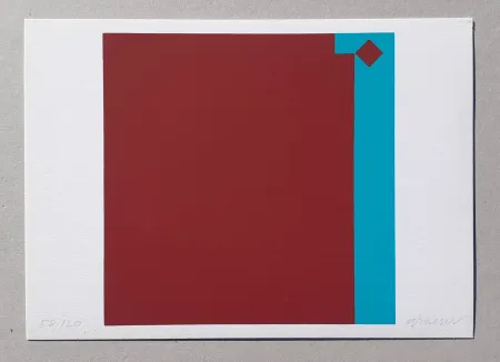 Screenprint Graeser - Caput Mortuum - Violett Grun 7:1