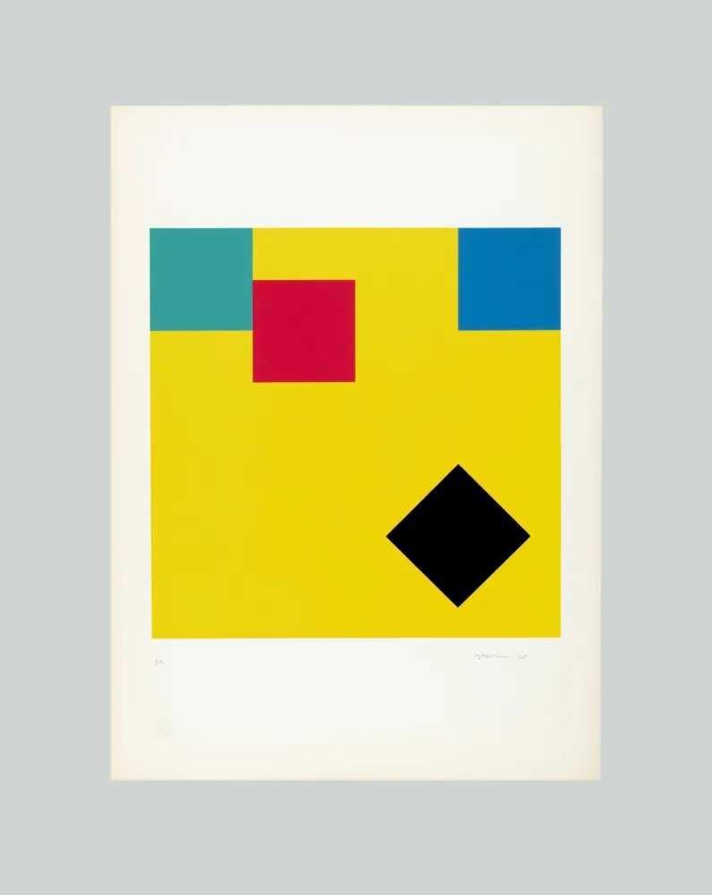 Screenprint Graeser - Translokation