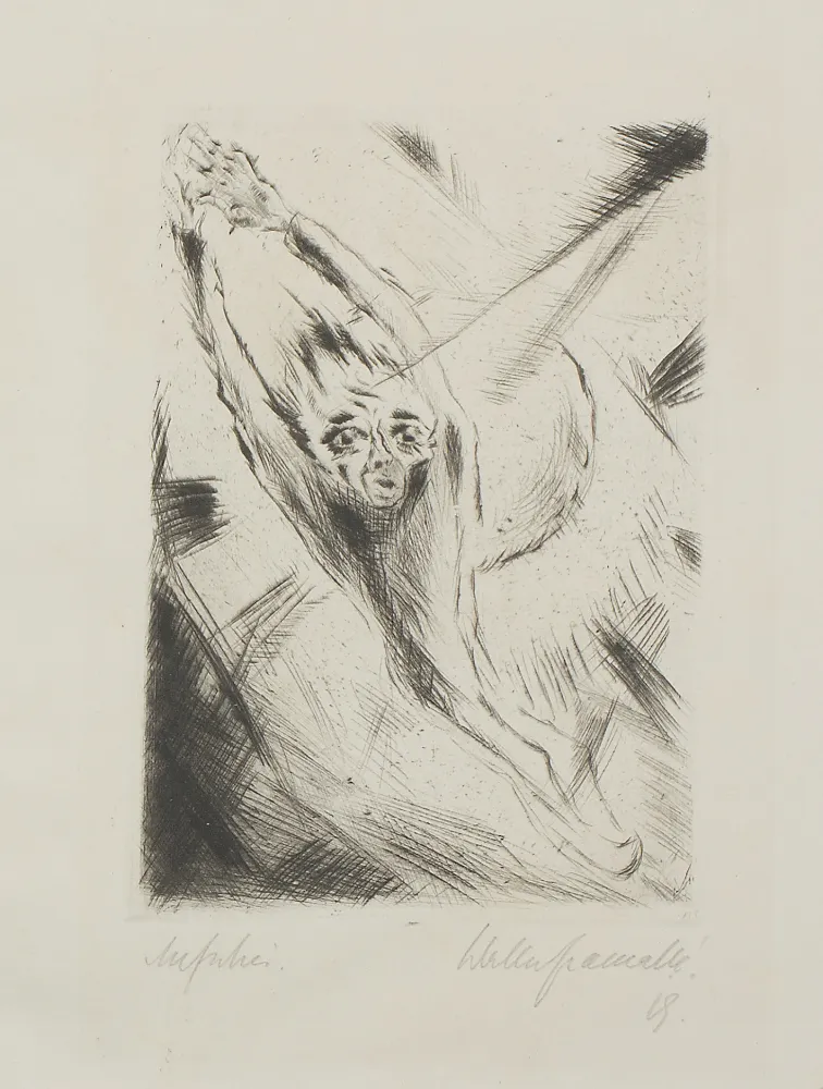 No Technical Gramatté - Aufschrei, (Scream) 