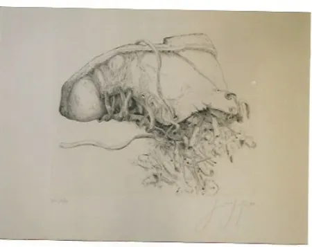 Etching Grass - Kippen and Schun