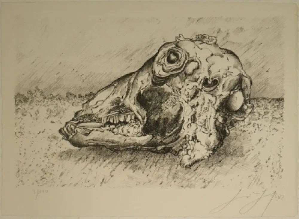 Lithograph Grass - Schafskopf.