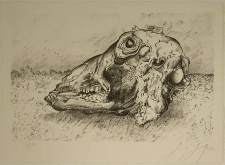 Lithograph Grass - Schafskopf.