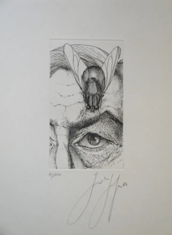 Etching Grass - Selbstporträt mit Fliege